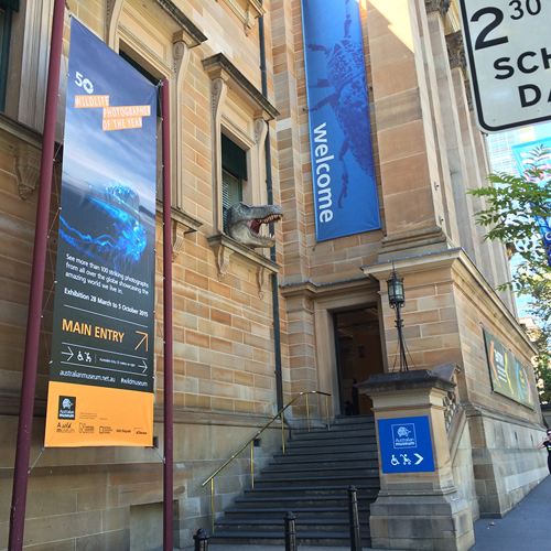 Museum Banners