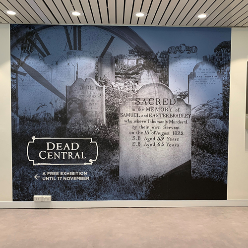 Wall Graphic