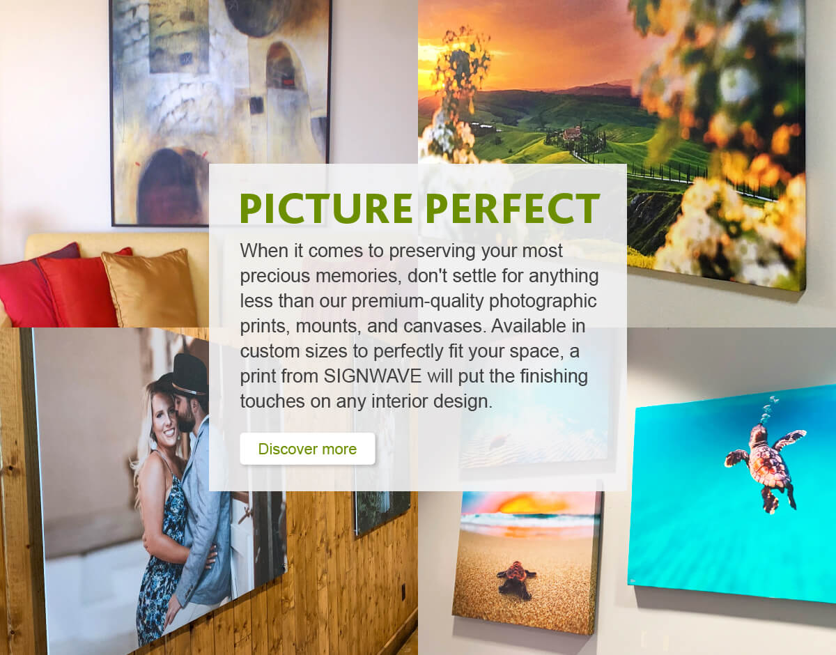 picture perfect