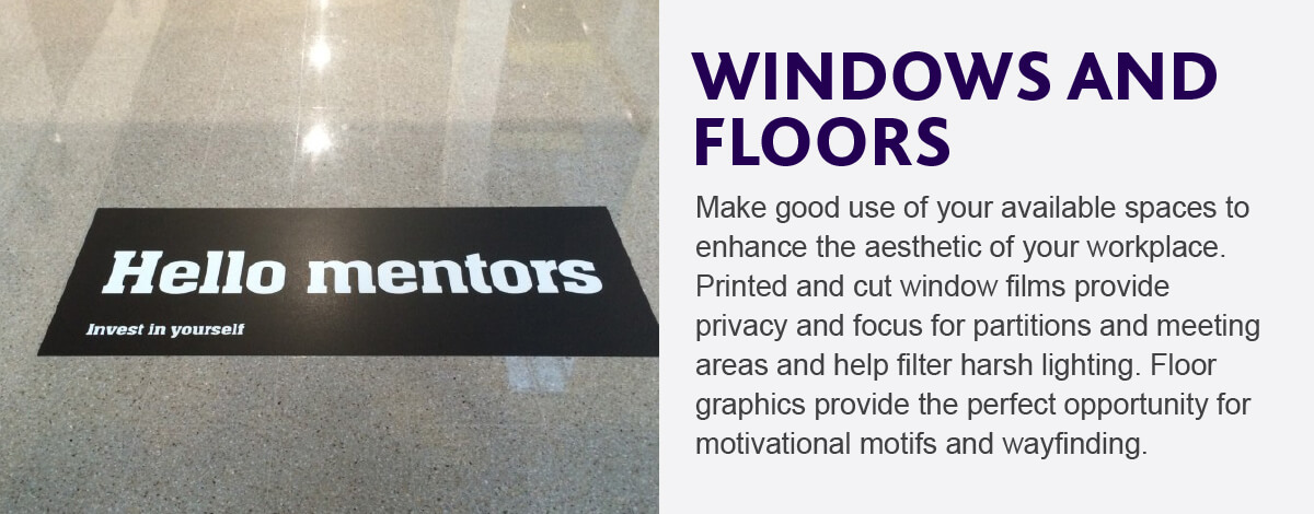 windows and floors