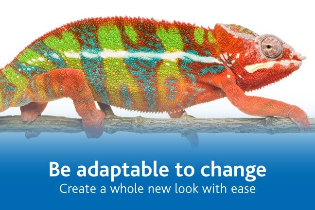Chameleon