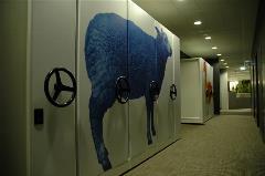 Office Design