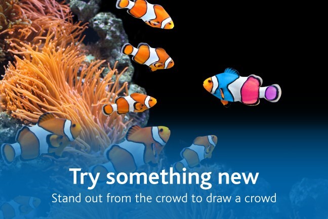 Stand out from the crowd this sale season