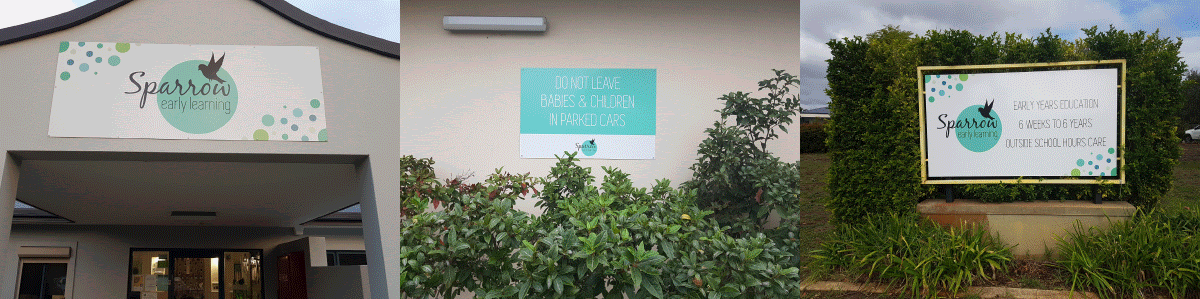 Sparrow early learning