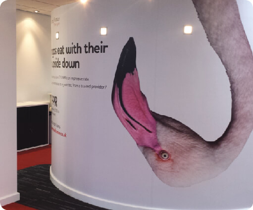 Wall bird