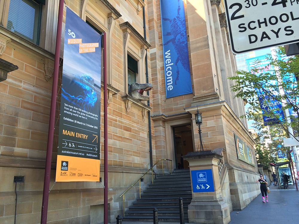Museum Banners