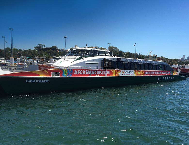 asia cup catamaran decals newtow